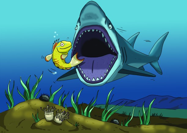 Il·lustració peixet Albert