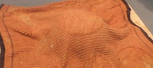 SAMSUNG CAMERA PICTURES