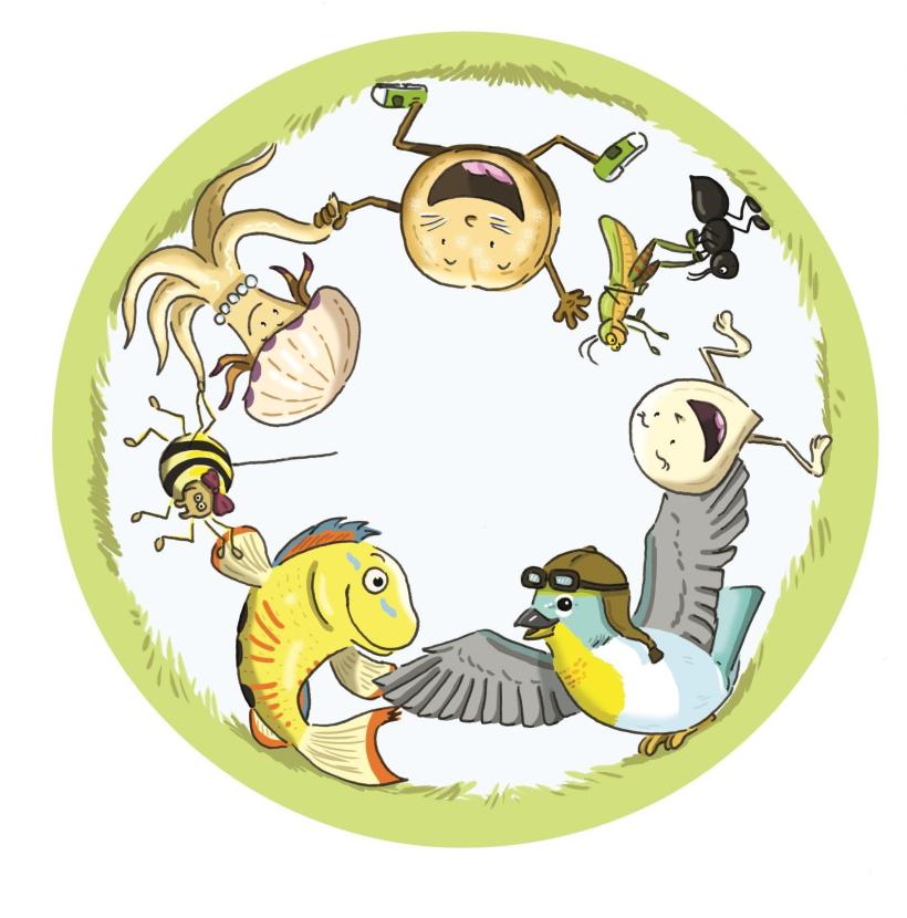 cd per dins definitiu